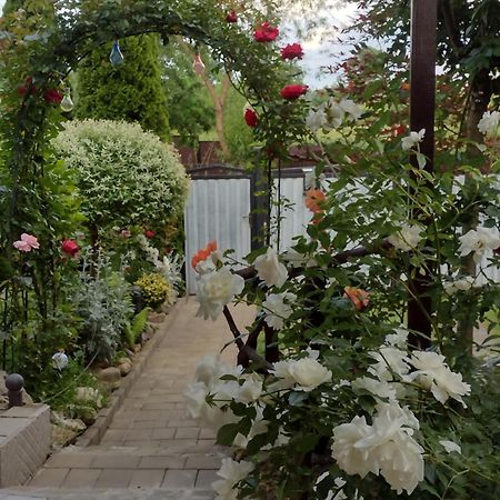Casa Mamei Szucsáva Kültér fotó
