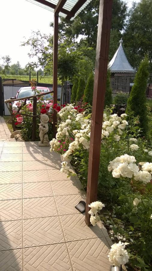 Casa Mamei Szucsáva Kültér fotó