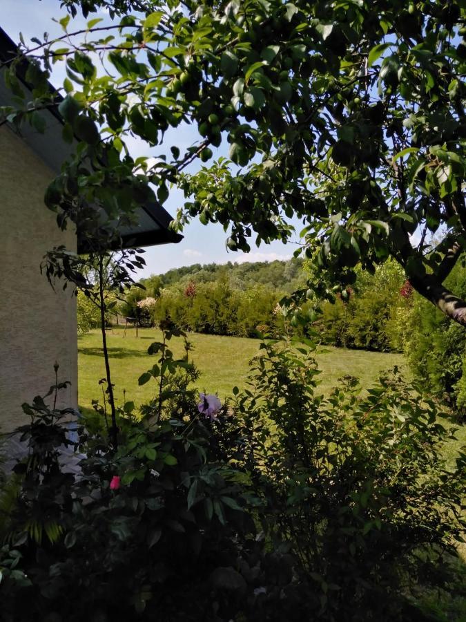 Casa Mamei Szucsáva Kültér fotó
