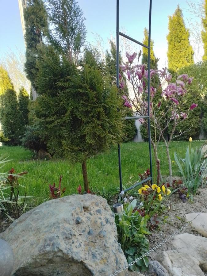 Casa Mamei Szucsáva Kültér fotó