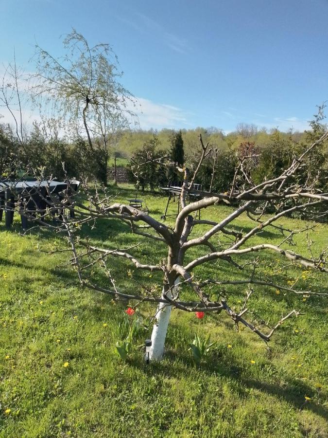 Casa Mamei Szucsáva Kültér fotó