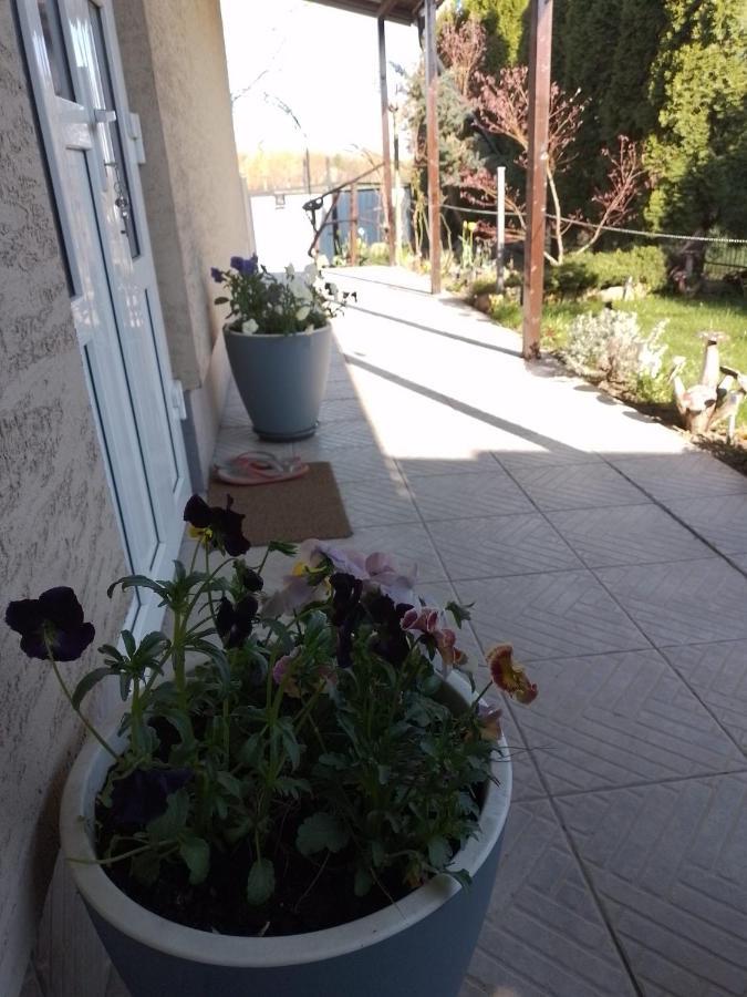 Casa Mamei Szucsáva Kültér fotó