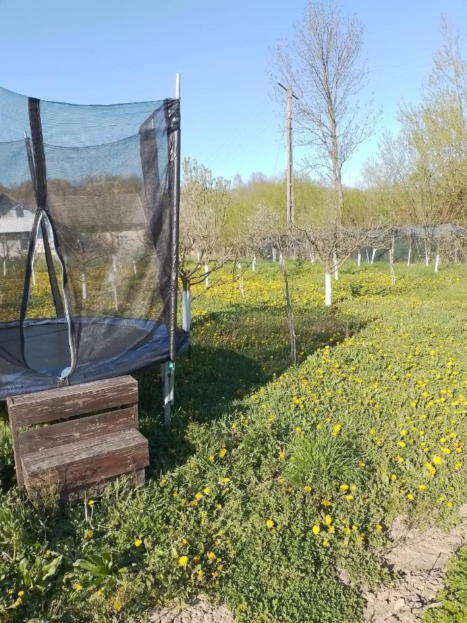Casa Mamei Szucsáva Kültér fotó