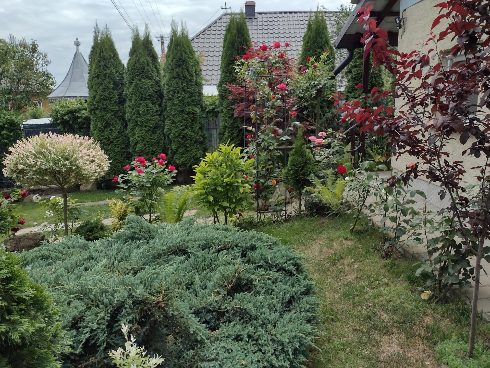 Casa Mamei Szucsáva Szoba fotó