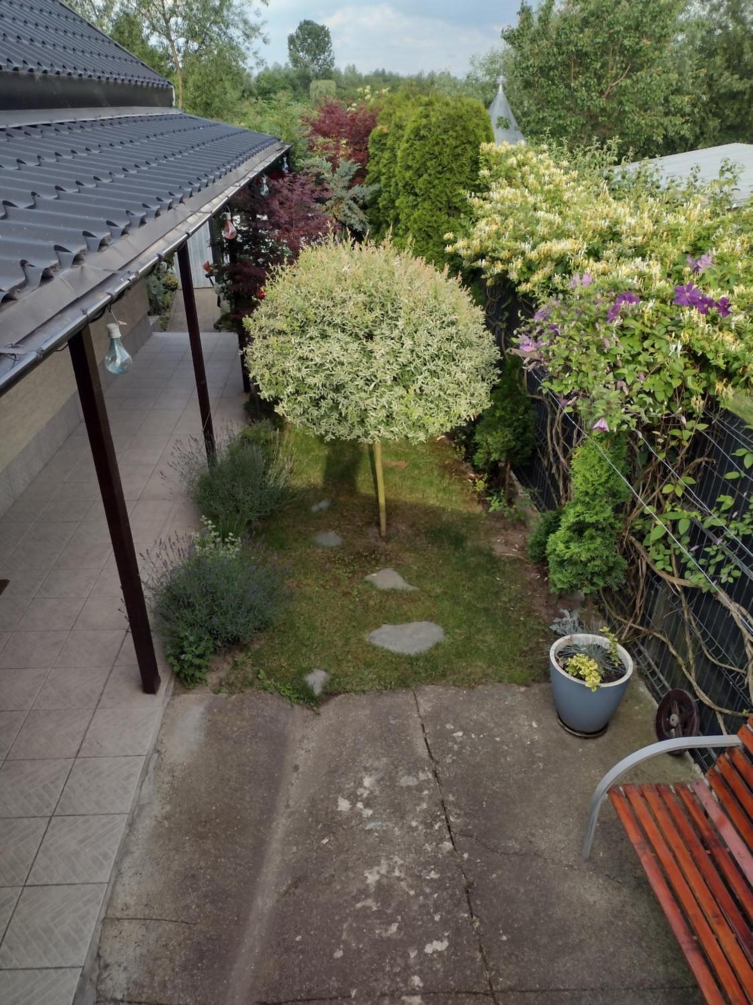 Casa Mamei Szucsáva Kültér fotó